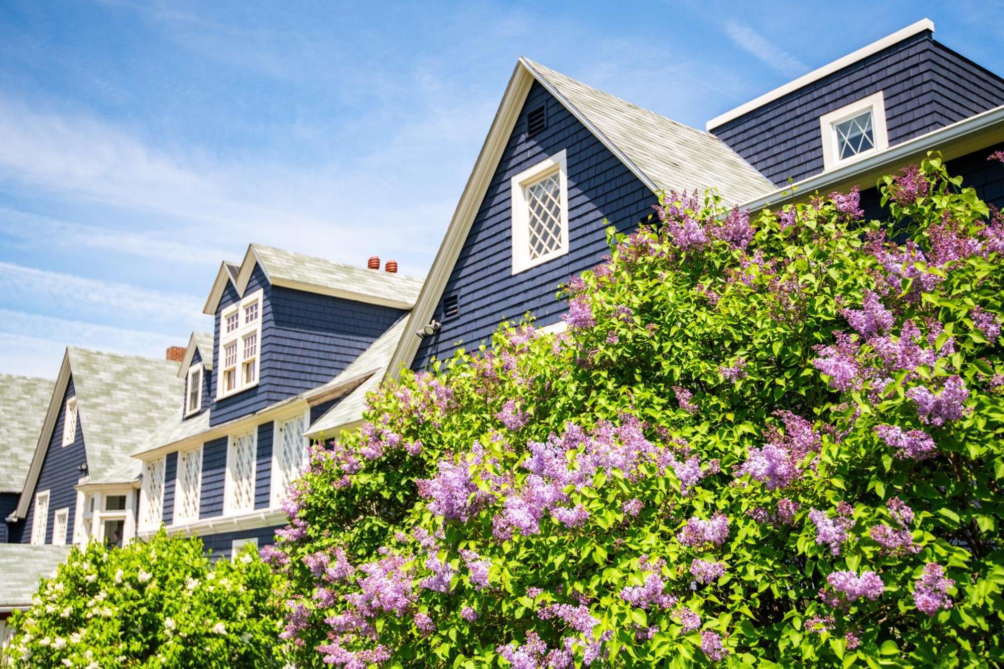 Cleftstone Inn Bar Harbor Exterior foto